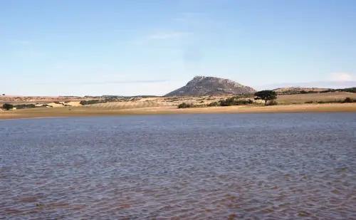 El-Chinar1-047-m.-Bonete3