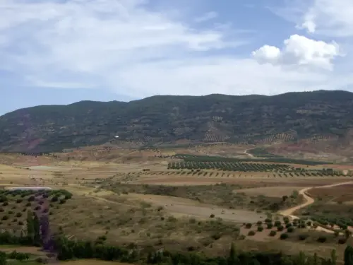 El-Deheson-VillapalaciosSalobre2