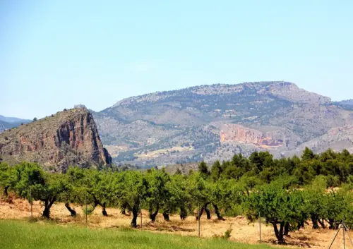 El-Macalon-de-Letur3-Penarrubia-y-Picorzos-Elche