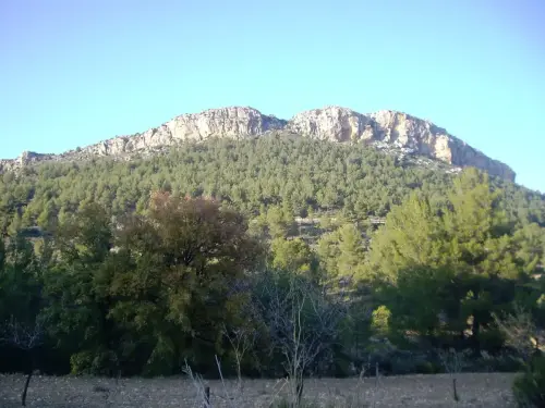 El-Macalon-de-Nerpio3