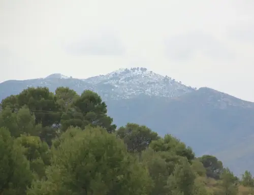 El-Porron-980-Lietor