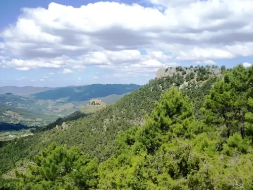 Ituero-Chico-Cotillas