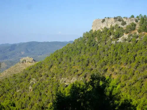 Ituero-Chico-Cotillas2