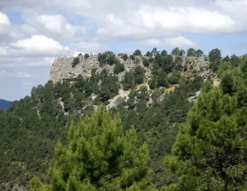 Ituero-Chico-Cotillas3