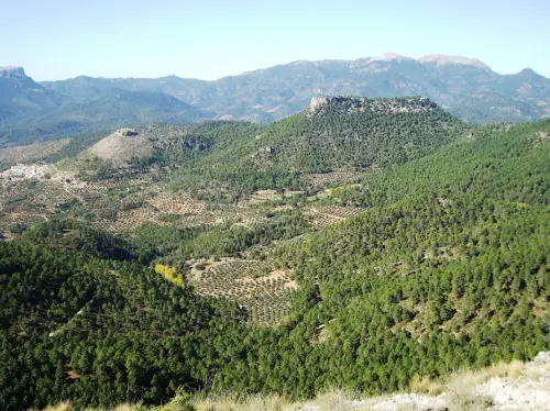 Ituero-Chico-Cotillas4