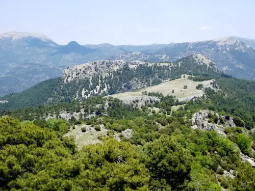 Ituero-Grande-Cotillas