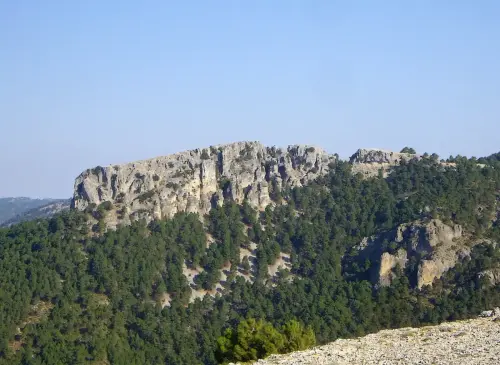 Ituero-Grande-Cotillas2