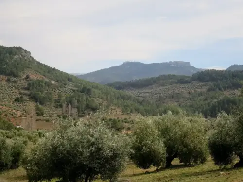 Ituero-Grande-Cotillas4-desde-Villaverde