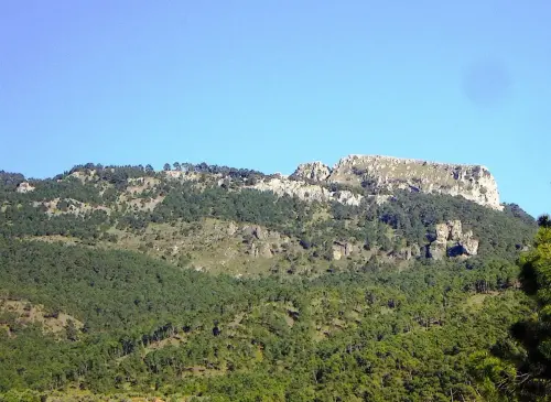 Ituero-Grande-Cotillas5