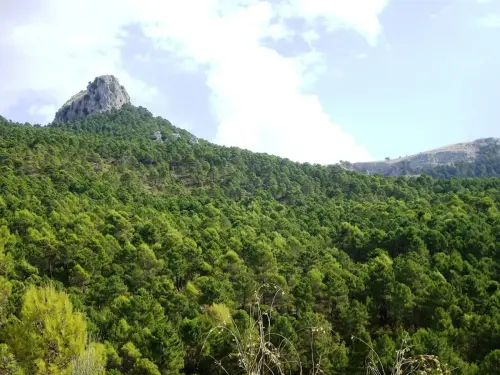 Ituero-Grande-Cotillas7