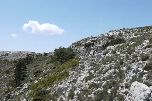 Las-Cabras-2081m-Nerpio6-Vertice-geodesico