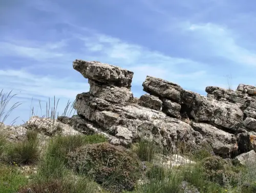 Las-Taxoneras-Paterna-Madera