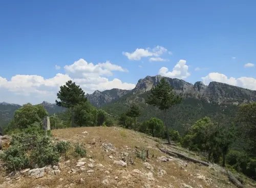 Loma-Pelada-Bienservida