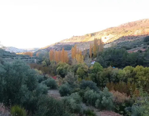 Loma-Piqueras-Alcaraz