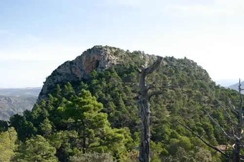 Loma-de-La-Albarda-Ayna