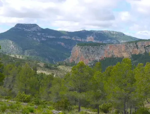 Loma-de-La-Albarda-al-fondo-Ayna