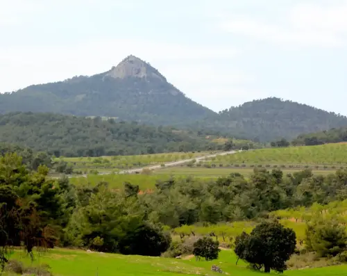 Loma-de-la-Albarda-Ayna3