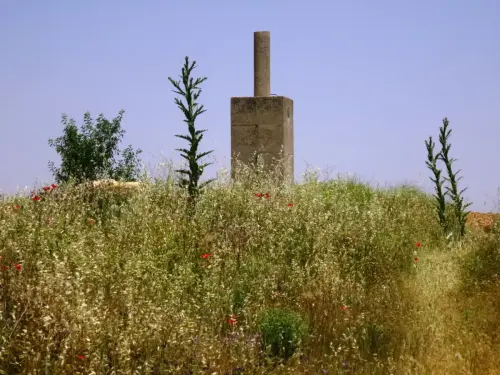 Los-Barreros-El-Bonillo2