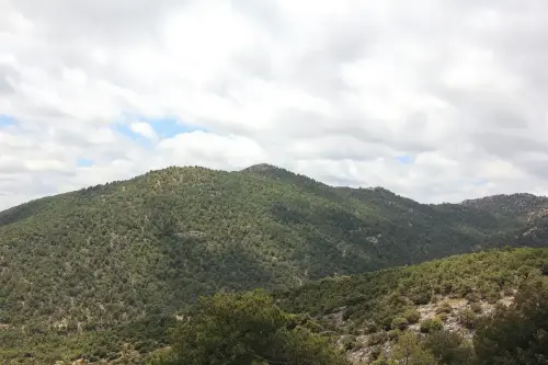 Los-Mosquitos-1940m-Nerpio