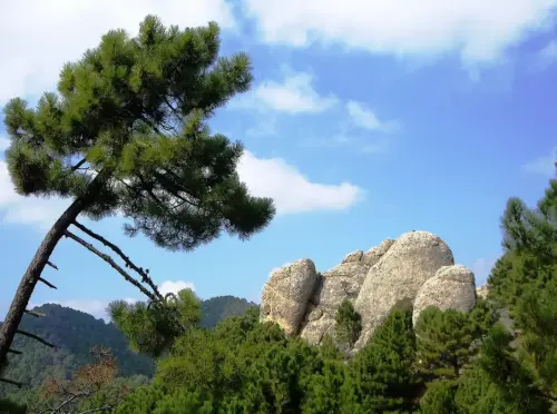 Los-Picarazos-Frailes-Villaverde-de-Guadalimar11