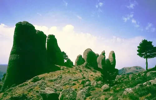 Los-Picarazos-Frailes-Villaverde-de-Guadalimar2