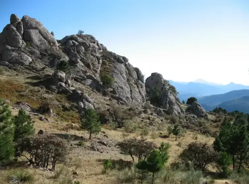 Los-Picarazos-Frailes-Villaverde-de-Guadalimar3