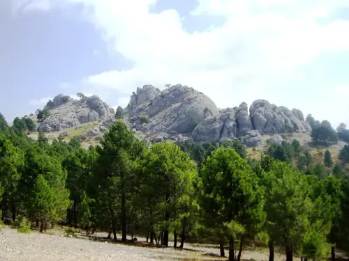 Los-Picarazos-Frailes-Villaverde-de-Guadalimar4