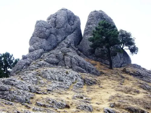 Los-Picarazos-Frailes-Villaverde-de-Guadalimar7