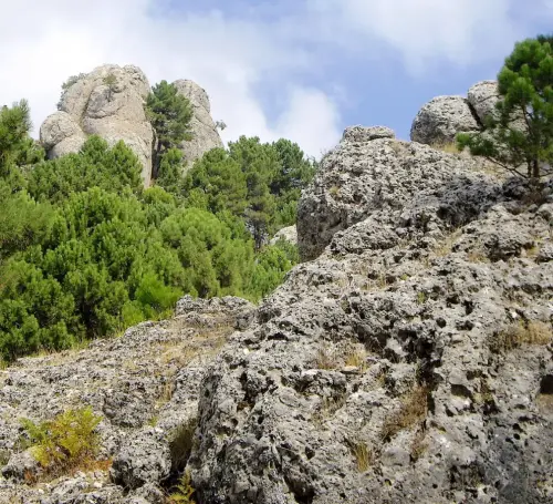 Los-Picarazos-Frailes-Villaverde-de-Guadalimar8