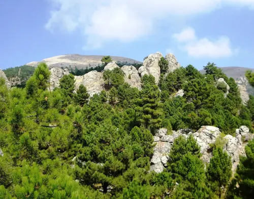 Los-Picarazos-Frailes-Villaverde-de-Guadalimar9