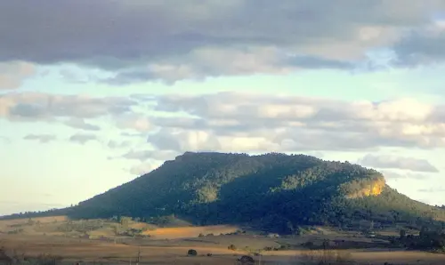 Los-Picorzos-Ceno-Elche-de-la-Sierra