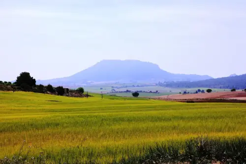 Los-Picorzos-Ceno2-Elche-de-la-Sierra