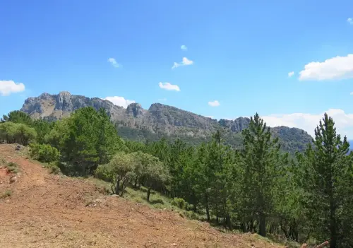 Majadas-del-Padron-Bienservida
