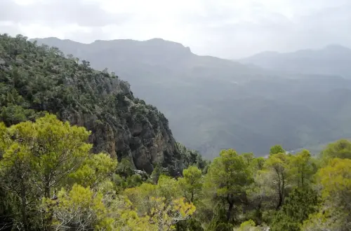 Molejon-de-Paules-Yeste3