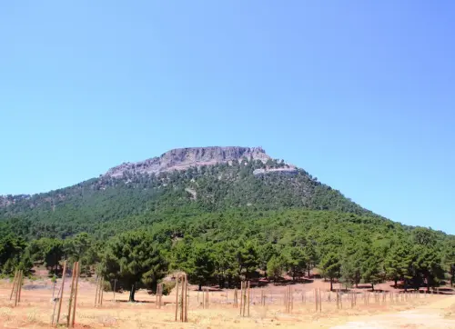 Padroncillo-Riopar12