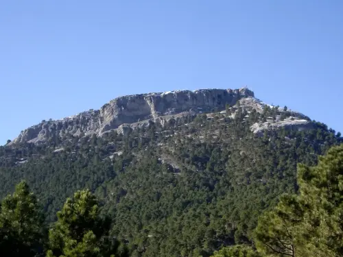 Padroncillo-Riopar15