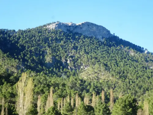 Padroncillo-Riopar16