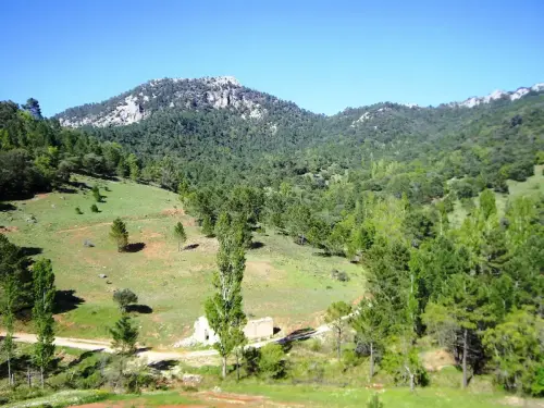 Padroncillo-Riopar5-Los-Tribaldos