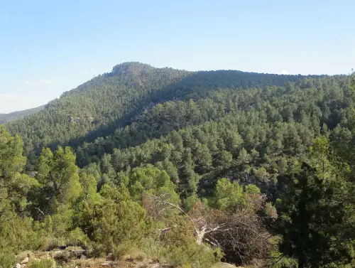 Pena-de-la-Albarda-Ayna