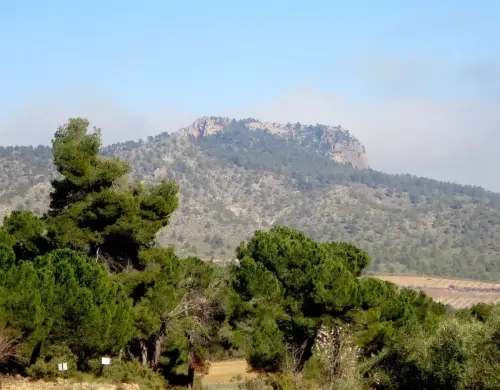 Pena-de-la-Albarda-Ayna2