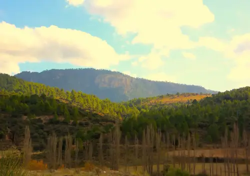 Penalta-Paterna-del-Madera