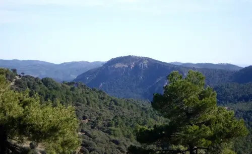 Penalta-Paterna-del-Madera2