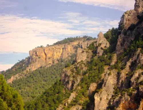 Penalta-Paterna-del-Madera3