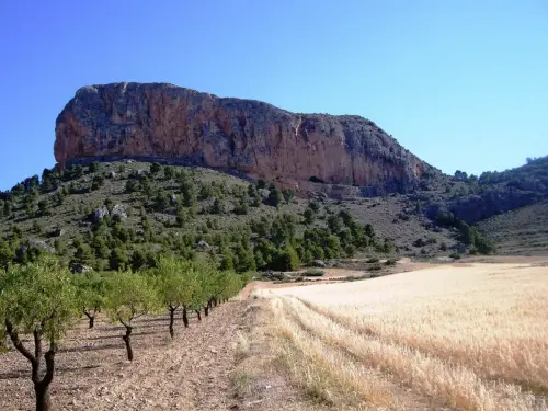 Penarrubia-Elche-de-la-Sierra2