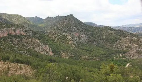 Pico-Lobo-entorno-del-Molino-de-las-Fuentes-Nerpio