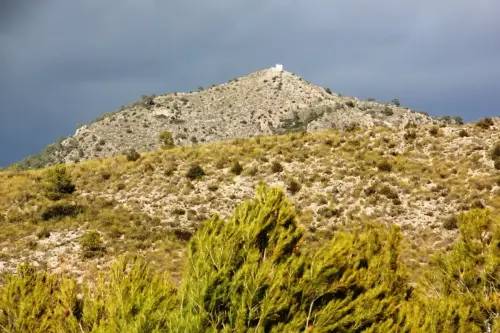 Pico-Trifillas2-Lietor