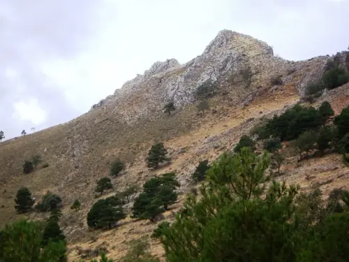 Pico-de-Las-Almenaras7-1798