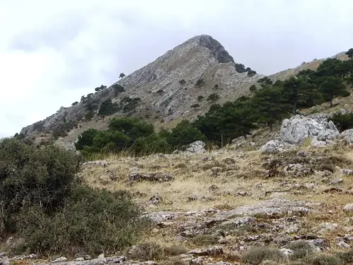 Pico-de-Las-Almenaras8-1798