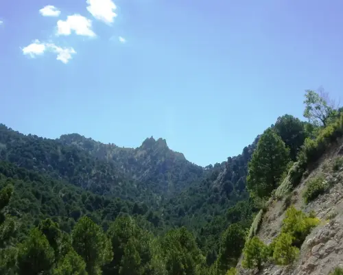 Pico-de-Los-Esparteros-Bienservida