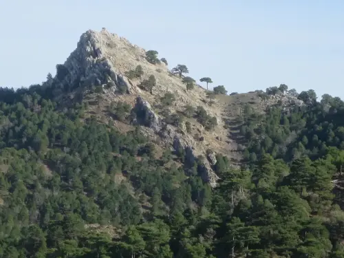 Pico-de-Los-Esparteros-Bienservida2